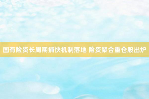 国有险资长周期捕快机制落地 险资聚合重仓股出炉