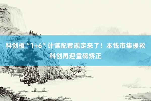 科创板“1+6”计谋配套规定来了！本钱市集援救科创再迎重磅矫正