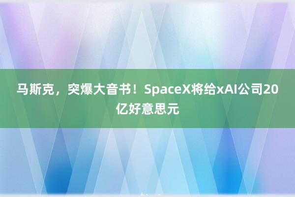 马斯克，突爆大音书！SpaceX将给xAI公司20亿好意思元
