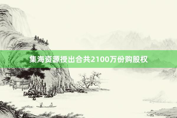 集海资源授出合共2100万份购股权