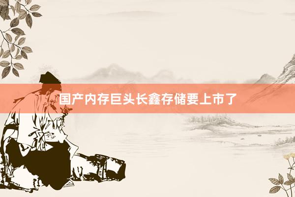 国产内存巨头长鑫存储要上市了