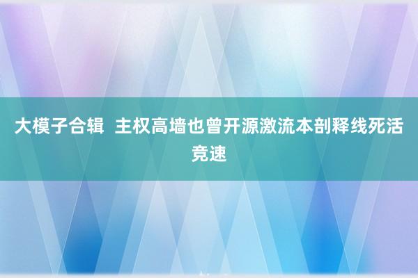 大模子合辑  主权高墙也曾开源激流本剖释线死活竞速