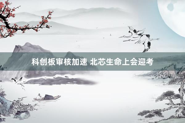 科创板审核加速 北芯生命上会迎考