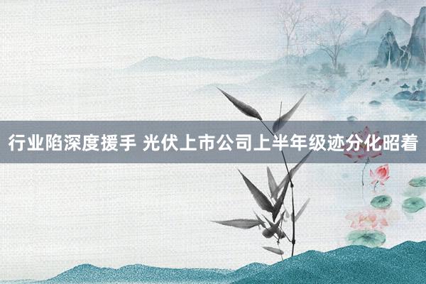 行业陷深度援手 光伏上市公司上半年级迹分化昭着