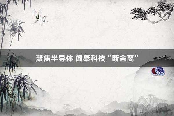 聚焦半导体 闻泰科技“断舍离”