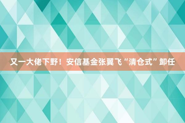 又一大佬下野！安信基金张翼飞“清仓式”卸任
