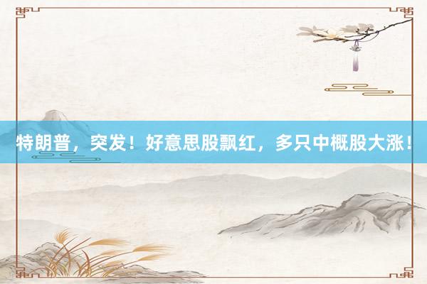 特朗普，突发！好意思股飘红，多只中概股大涨！