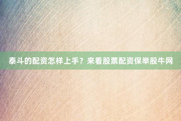 泰斗的配资怎样上手？来看股票配资保举股牛网