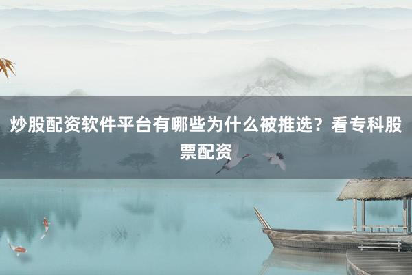 炒股配资软件平台有哪些为什么被推选？看专科股票配资