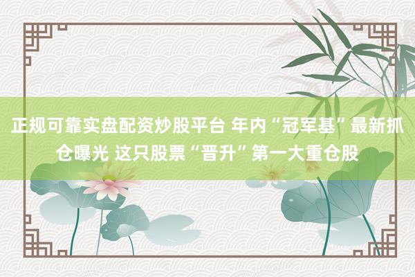 正规可靠实盘配资炒股平台 年内“冠军基”最新抓仓曝光 这只股票“晋升”第一大重仓股