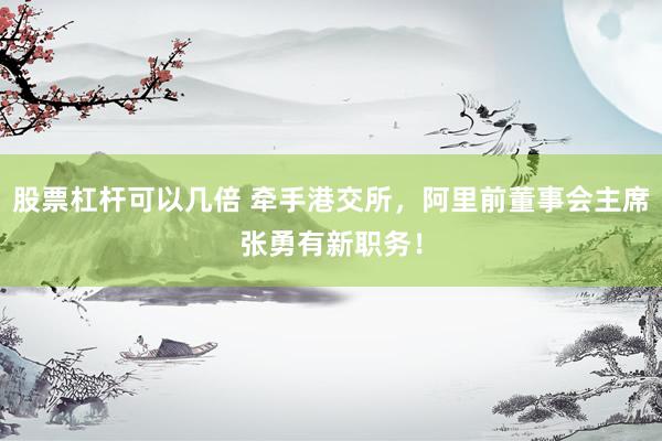 股票杠杆可以几倍 牵手港交所，阿里前董事会主席张勇有新职务！