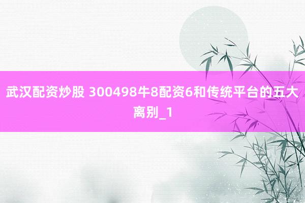 武汉配资炒股 300498牛8配资6和传统平台的五大离别_1