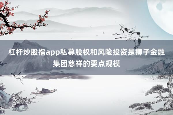 杠杆炒股指app私募股权和风险投资是狮子金融集团慈祥的要点规模
