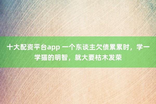 十大配资平台app 一个东谈主欠债累累时，学一学猫的明智，就大要枯木发荣