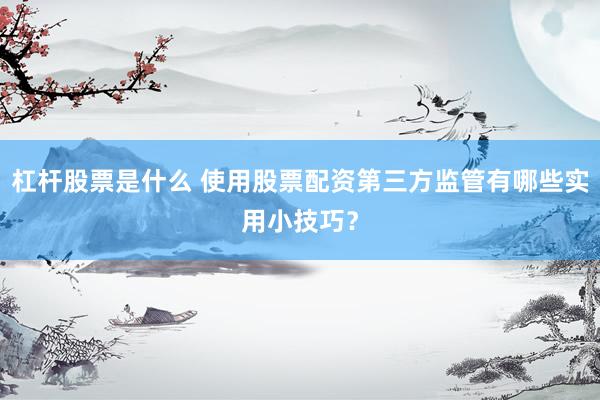 杠杆股票是什么 使用股票配资第三方监管有哪些实用小技巧?