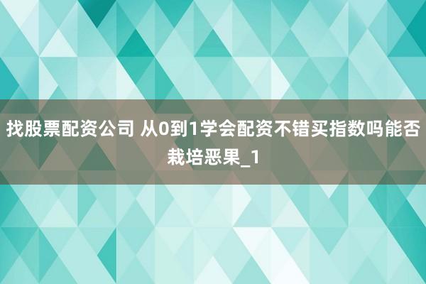 找股票配资公司 从0到1学会配资不错买指数吗能否栽培恶果_1