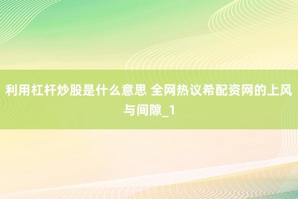 利用杠杆炒股是什么意思 全网热议希配资网的上风与间隙_1