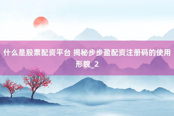 什么是股票配资平台 揭秘步步盈配资注册码的使用形貌_2