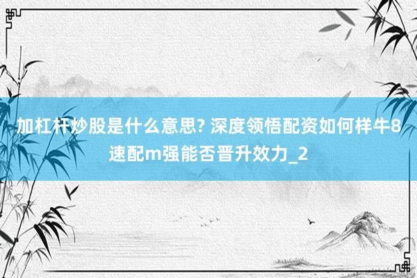 加杠杆炒股是什么意思? 深度领悟配资如何样牛8速配m强能否晋升效力_2