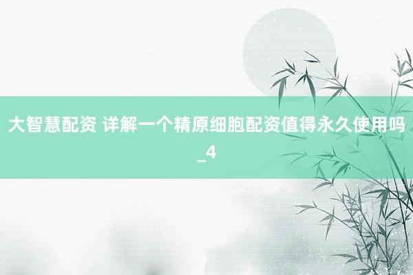大智慧配资 详解一个精原细胞配资值得永久使用吗_4