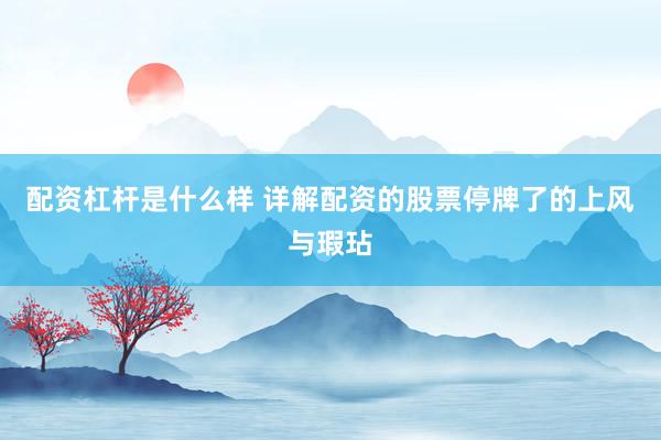 配资杠杆是什么样 详解配资的股票停牌了的上风与瑕玷