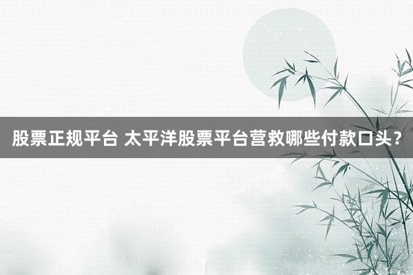 股票正规平台 太平洋股票平台营救哪些付款口头？