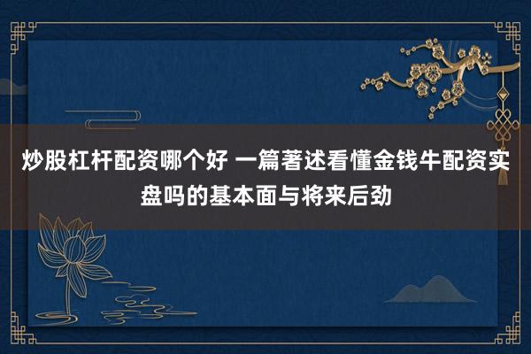 炒股杠杆配资哪个好 一篇著述看懂金钱牛配资实盘吗的基本面与将来后劲