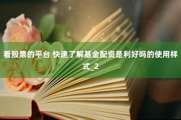 看股票的平台 快速了解基金配资是利好吗的使用样式_2