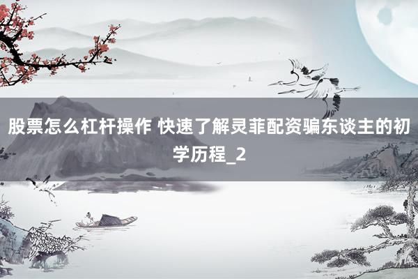 股票怎么杠杆操作 快速了解灵菲配资骗东谈主的初学历程_2