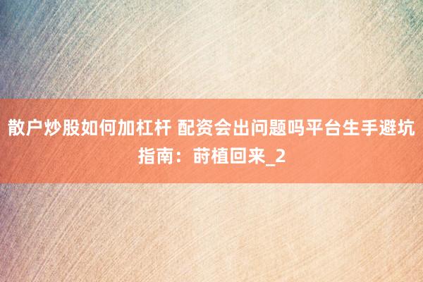 散户炒股如何加杠杆 配资会出问题吗平台生手避坑指南：莳植回来_2