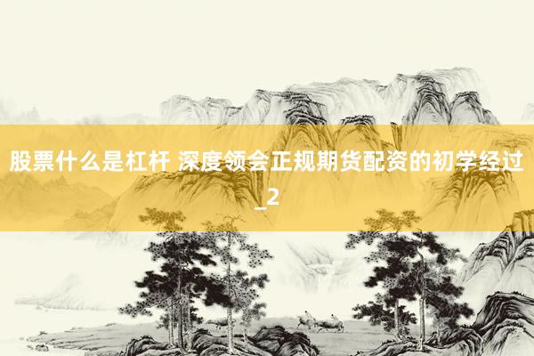 股票什么是杠杆 深度领会正规期货配资的初学经过_2
