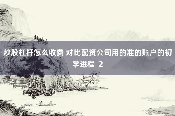 炒股杠杆怎么收费 对比配资公司用的准的账户的初学进程_2
