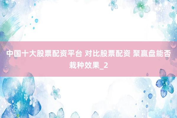 中国十大股票配资平台 对比股票配资 聚赢盘能否栽种效果_2