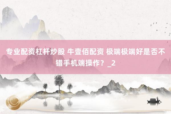 专业配资杠杆炒股 牛壹佰配资 极端极端好是否不错手机端操作？_2