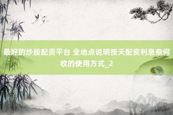 最好的炒股配资平台 全地点说明按天配资利息奈何收的使用方式_2