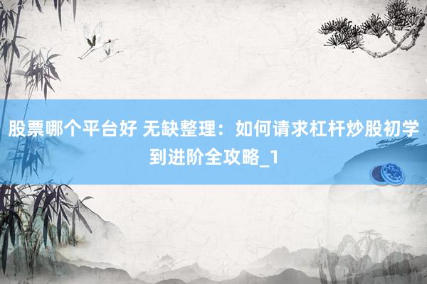 股票哪个平台好 无缺整理：如何请求杠杆炒股初学到进阶全攻略_1