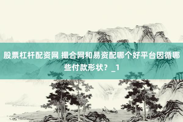 股票杠杆配资网 撮合网和易资配哪个好平台因循哪些付款形状？_1