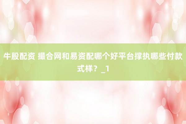 牛股配资 撮合网和易资配哪个好平台撑执哪些付款式样？_1