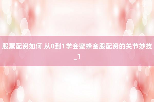 股票配资如何 从0到1学会蜜蜂金股配资的关节妙技_1