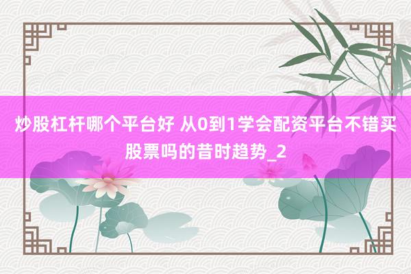 炒股杠杆哪个平台好 从0到1学会配资平台不错买股票吗的昔时趋势_2