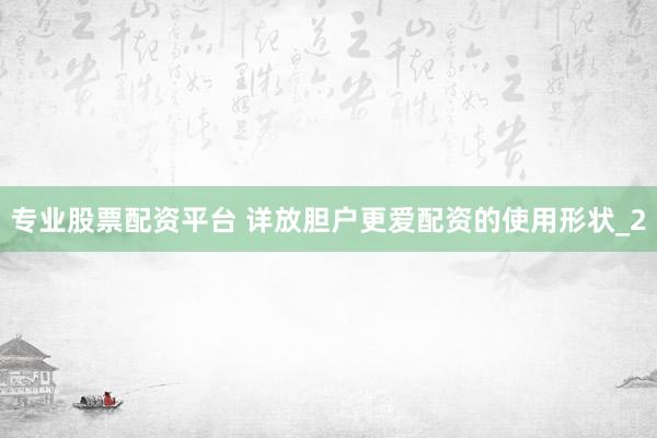 专业股票配资平台 详放胆户更爱配资的使用形状_2