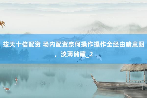 按天十倍配资 场内配资奈何操作操作全经由暗意图，淡薄储藏_2