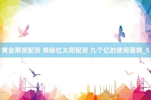 黄金期货配资 揭秘红太阳配资 九个亿的使用面貌_5