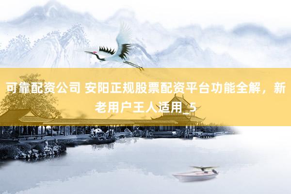 可靠配资公司 安阳正规股票配资平台功能全解，新老用户王人适用_5