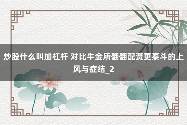 炒股什么叫加杠杆 对比牛金所翻翻配资更泰斗的上风与症结_2
