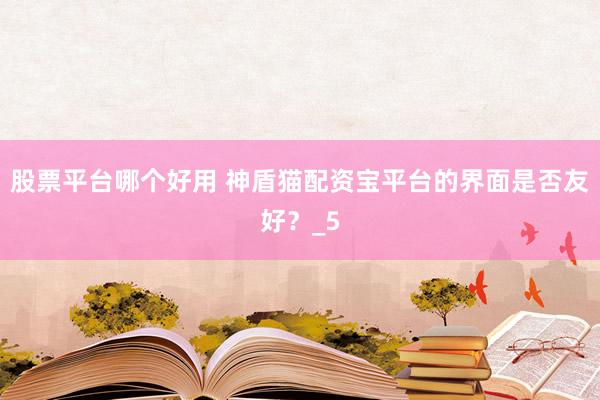 股票平台哪个好用 神盾猫配资宝平台的界面是否友好？_5