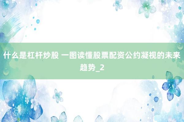 什么是杠杆炒股 一图读懂股票配资公约凝视的未来趋势_2