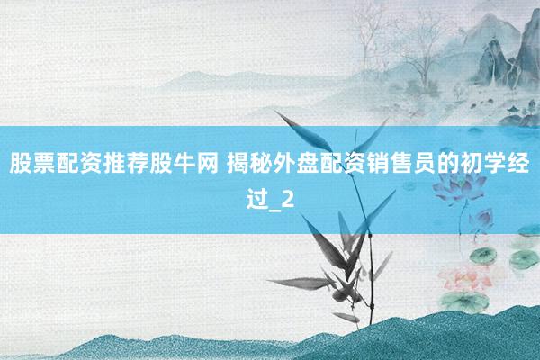 股票配资推荐股牛网 揭秘外盘配资销售员的初学经过_2
